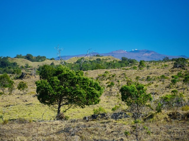 Hokukano Lot 15A, Kealakekua, HI 96725