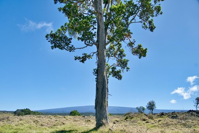 Hokukano Lot 15A, Kealakekua, HI 96725