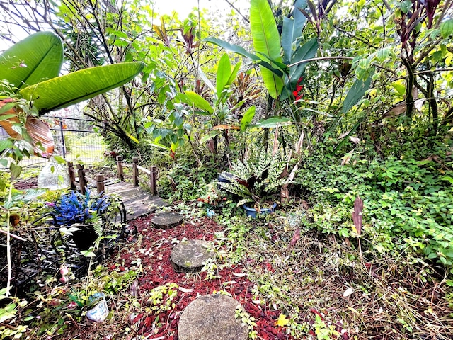 14-3473 Mauna Kea Rd, Pahoa, HI 96778 - view of yard
