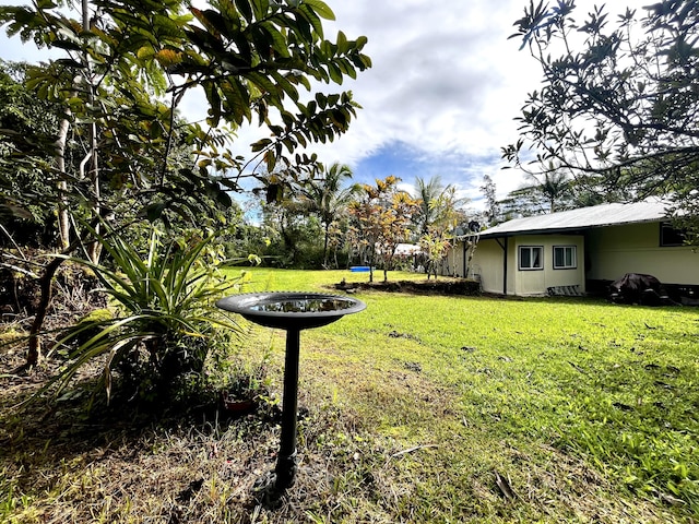 14-3473 Mauna Kea Rd, Pahoa, HI 96778 - view of grassy yard