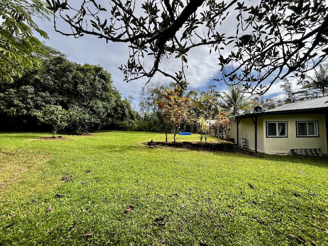 14-3473 Mauna Kea Rd, Pahoa, HI 96778 - view of grassy yard