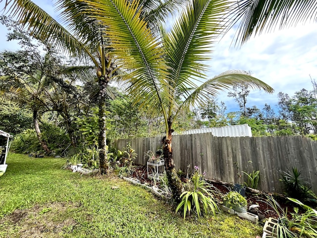14-3473 Mauna Kea Rd, Pahoa, HI 96778 - view of yard