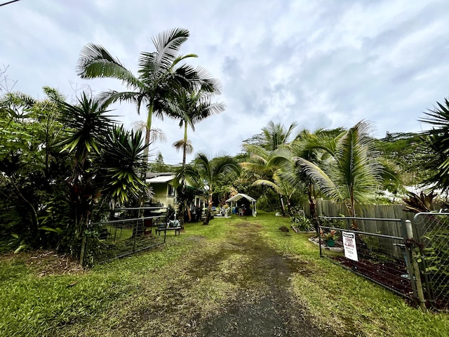 14-3473 Mauna Kea Rd, Pahoa, HI 96778 - view of yard