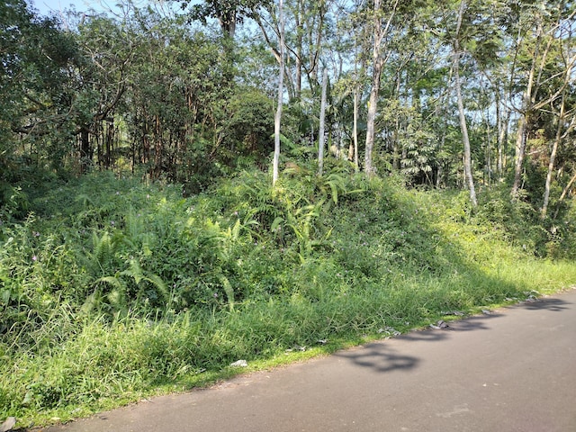 Maile St, Pahoa, HI 96778