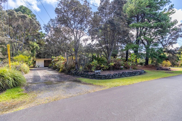 99-1808 Painiu Loop, Volcano, HI 96785 - view of property hidden behind natural elements with driveway and view of scattered trees