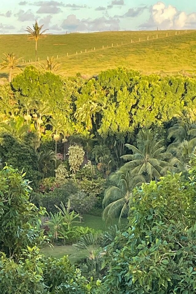 Hoolawa Rd, Haiku, HI 96708