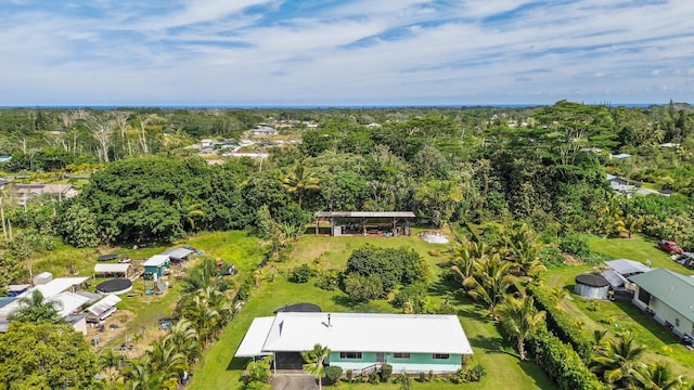 15-1477 17th Ave, Keaau, HI 96749 - drone / aerial view