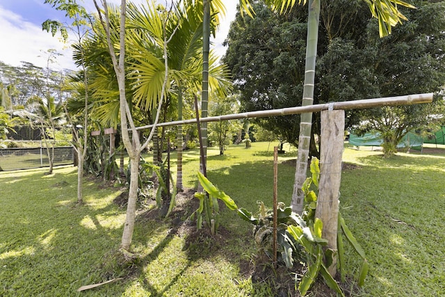15-1477 17th Ave, Keaau, HI 96749 - view of yard