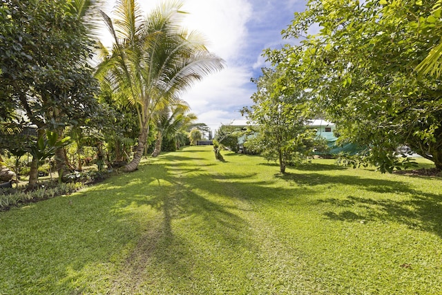 15-1477 17th Ave, Keaau, HI 96749 - view of grassy yard