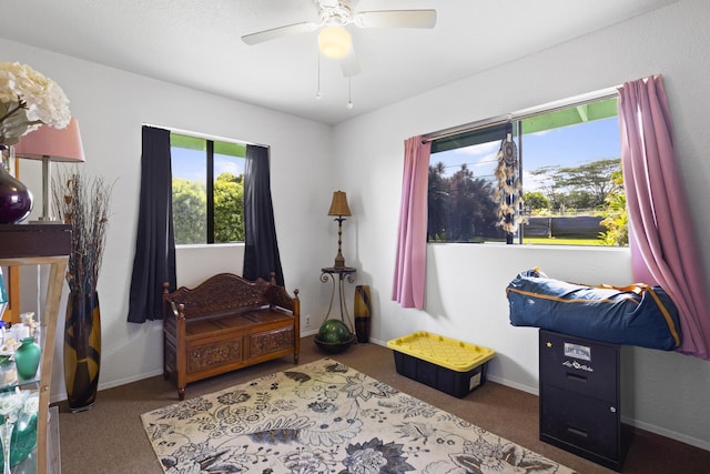 15-1477 17th Ave, Keaau, HI 96749 - interior space featuring carpet, baseboards, and ceiling fan