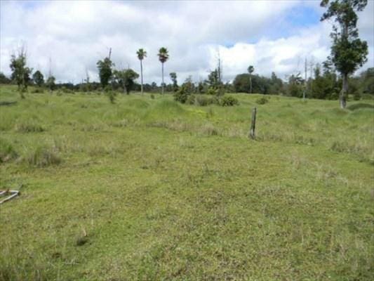 18-4480 Makaala, Mountain View, HI 96771 - photo 4