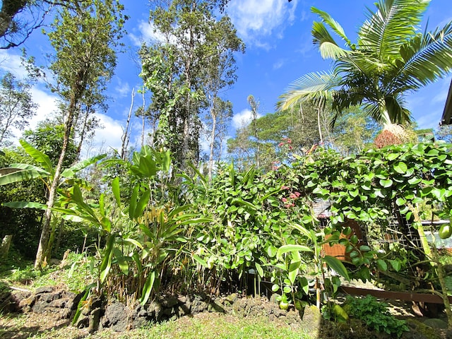 14-3527 Hawaii Rd, Pahoa, HI 96778 - view of nature