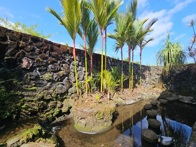 726-A Waianuenue Ave, Hilo, HI 96720 - view of yard