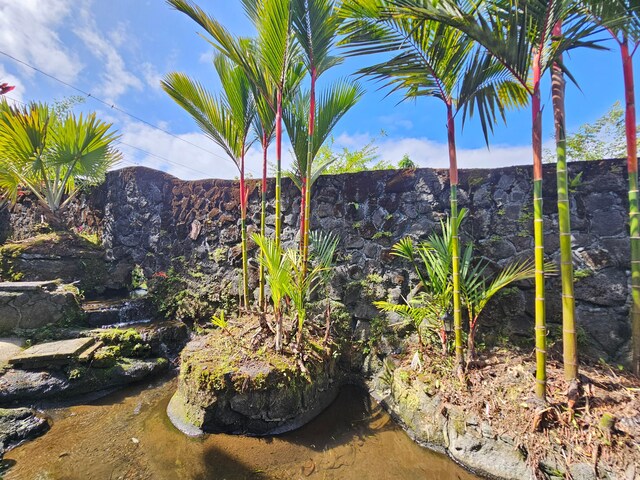 726-A Waianuenue Ave, Hilo, HI 96720 - view of yard