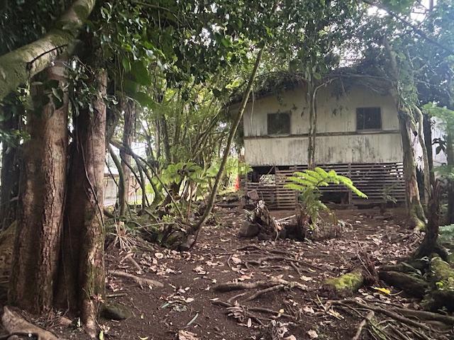 15-2877 Pahoa Village Rd, Pahoa, HI 96778 - view of home's exterior