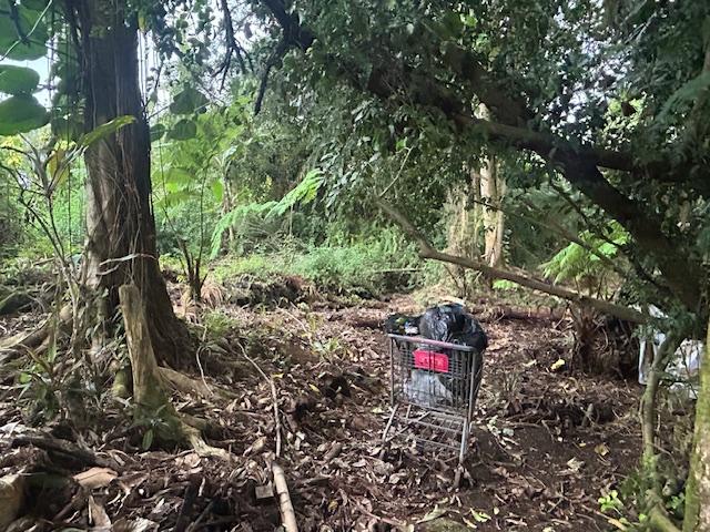 15-2877 Pahoa Village Rd, Pahoa, HI 96778 - view of nature