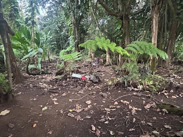 15-2877 Pahoa Village Rd, Pahoa, HI 96778 - view of nature