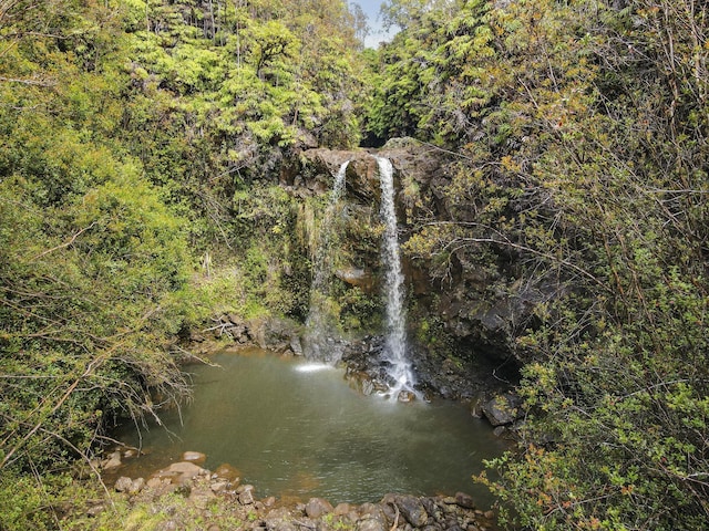 34-1480 Honomainoa Rd, Papaaloa, HI 96780 - water view with a forest