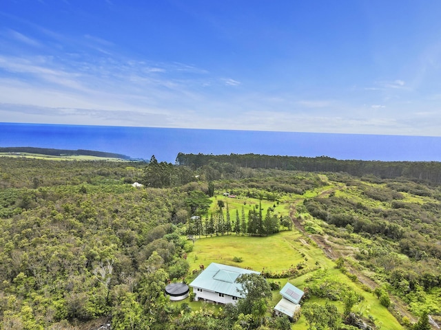 34-1480 Honomainoa Rd, Papaaloa, HI 96780 - view from above of property featuring a forest