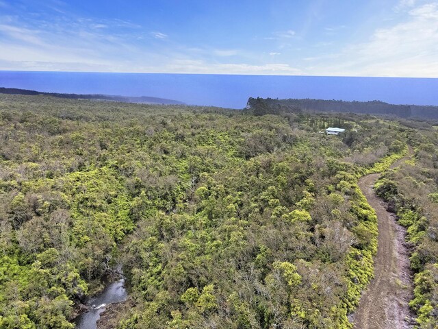 34-1480 Honomainoa Rd, Papaaloa, HI 96780 - aerial view of a forest