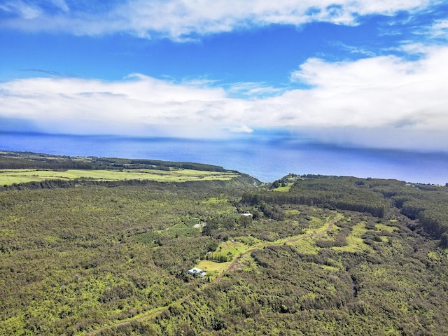 34-1480 Honomainoa Rd, Papaaloa, HI 96780 - drone / aerial view of a heavily wooded area