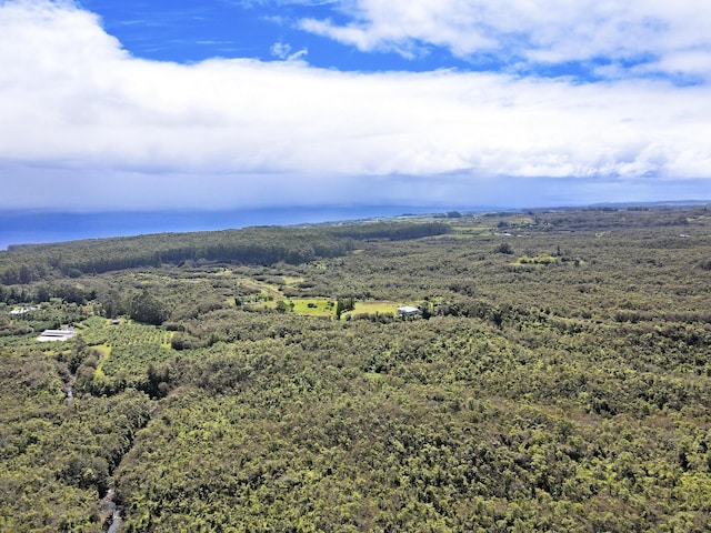 34-1480 Honomainoa Rd, Papaaloa, HI 96780 - aerial view of a forest