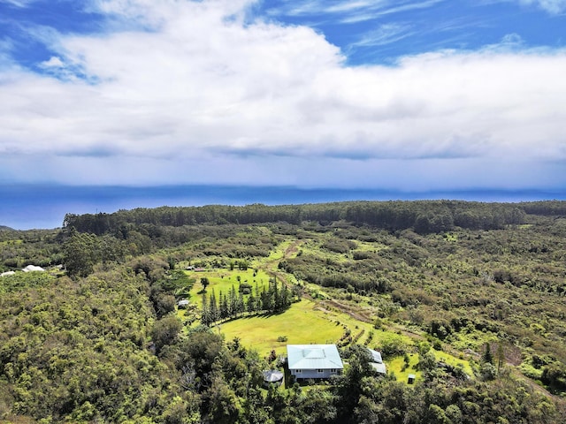 34-1480 Honomainoa Rd, Papaaloa, HI 96780 - view of subject property featuring a heavily wooded area
