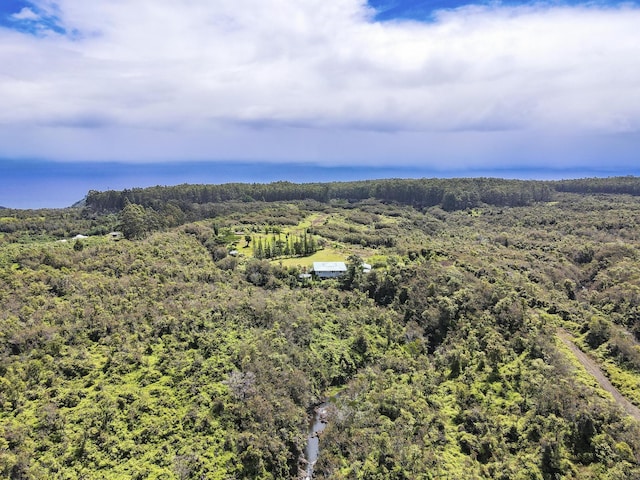 34-1480 Honomainoa Rd, Papaaloa, HI 96780 - aerial view of a forest