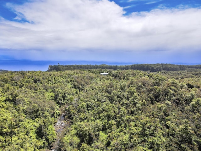34-1480 Honomainoa Rd, Papaaloa, HI 96780 - bird's eye view of a forest