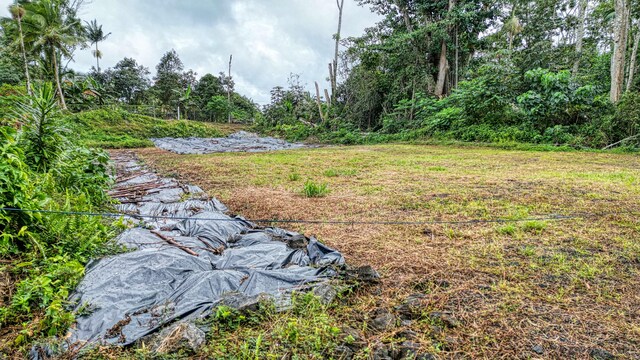 15-739 Kahakai Blvd, Pahoa, HI 96778