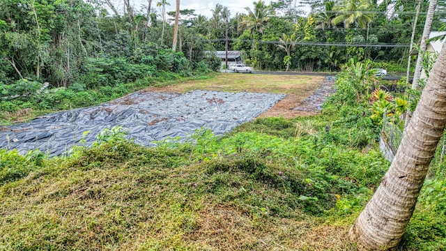 15-739 Kahakai Blvd, Pahoa, HI 96778