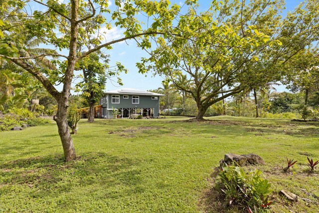 15-1932 2nd Ave, Keaau, HI 96749 - view of green lawn