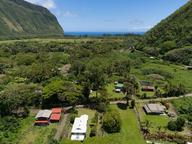 49-5791 Waipio Valley Rd, Honokaa, HI 96727 - photo 2
