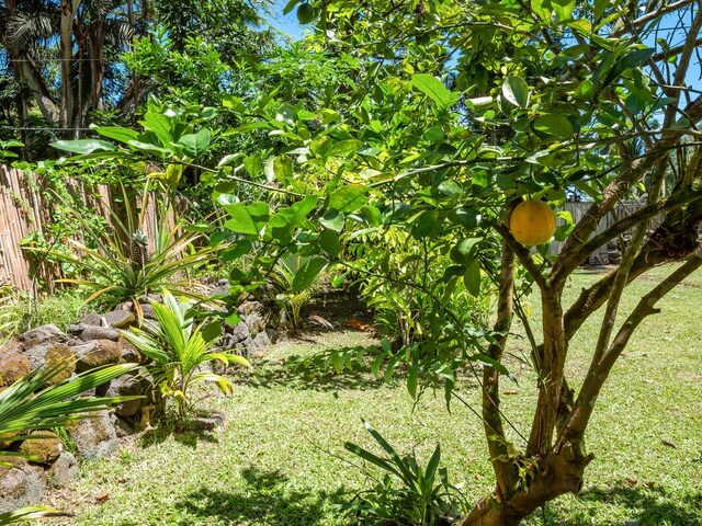 49-5791 Waipio Valley Rd, Honokaa, HI 96727 - photo 22