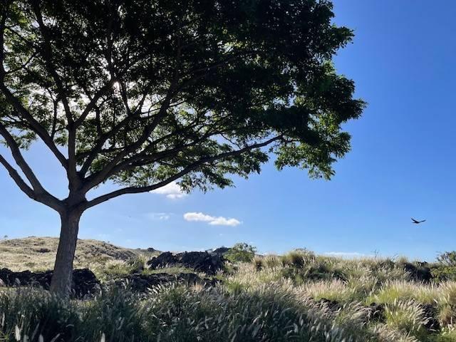 73-1101 Nuuanu Pl Unit D204, Kailua-Kona, HI 96740 - view of local wilderness