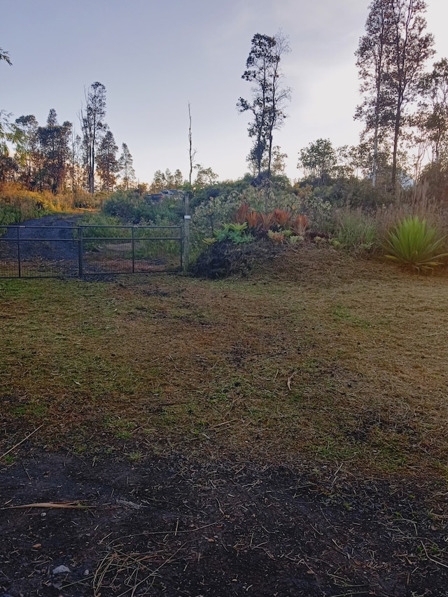 16-1896 Uhini Ana Rd, Mountain View, HI 96760 - view of yard