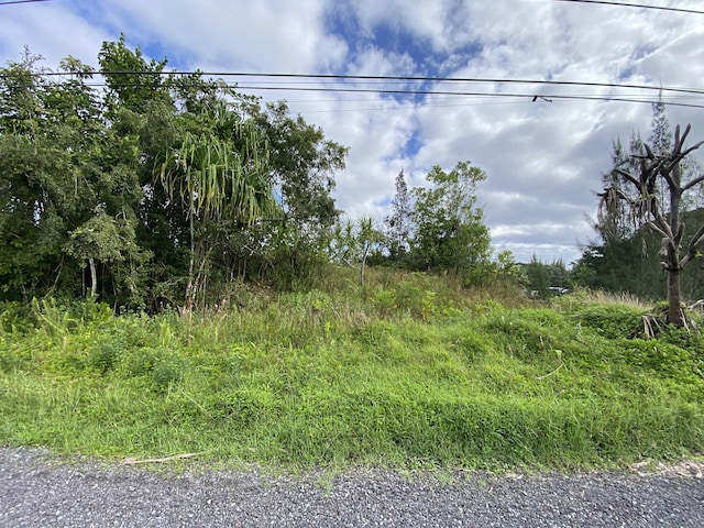 15-1969 Beach Rd, Keaau, HI 96749