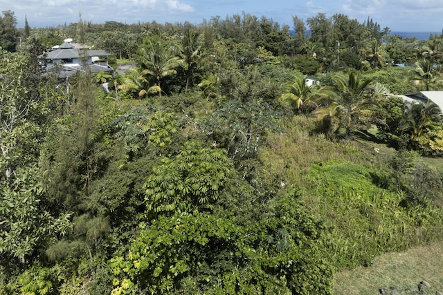 15-1969 Beach Rd, Keaau, HI 96749