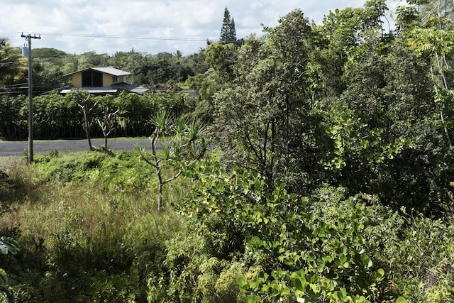15-1969 Beach Rd, Keaau, HI 96749