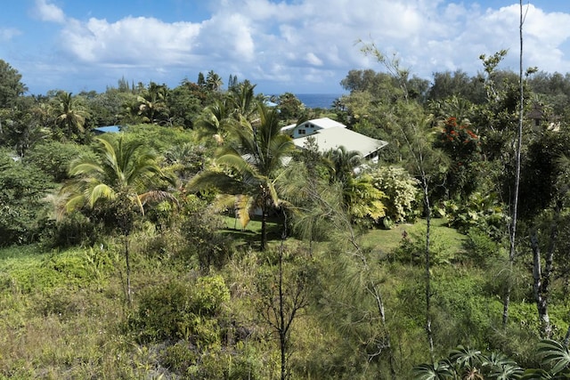15-1969 Beach Rd, Keaau, HI 96749