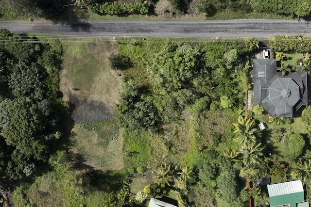 15-1969 Beach Rd, Keaau, HI 96749