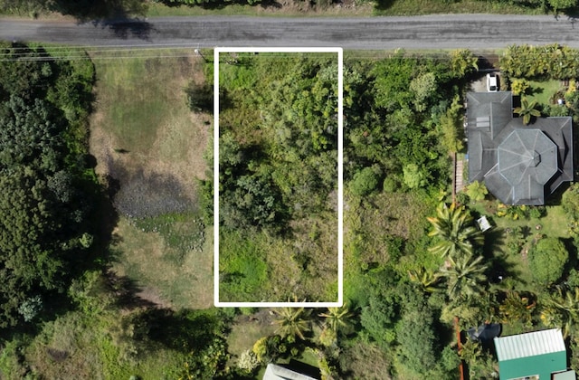 15-1969 Beach Rd, Keaau, HI 96749 - photo 4