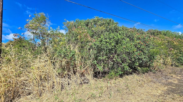 Pele St, Naalehu, HI 96772