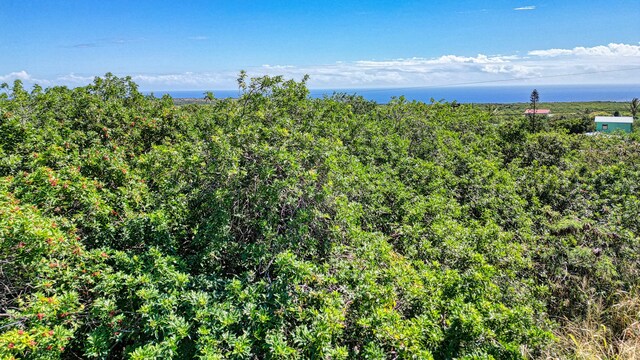 Pele St, Naalehu, HI 96772
