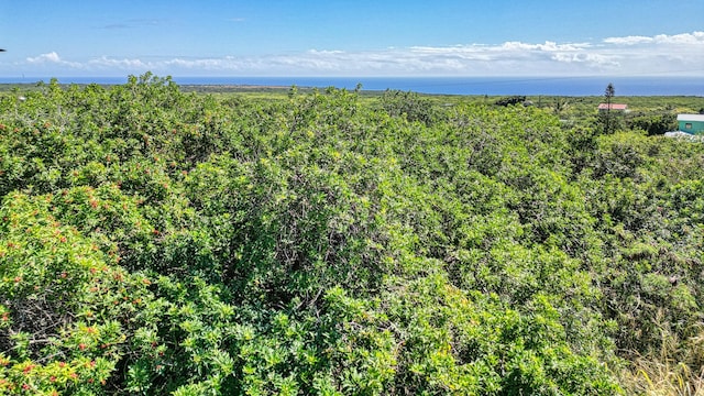 Pele St, Naalehu, HI 96772