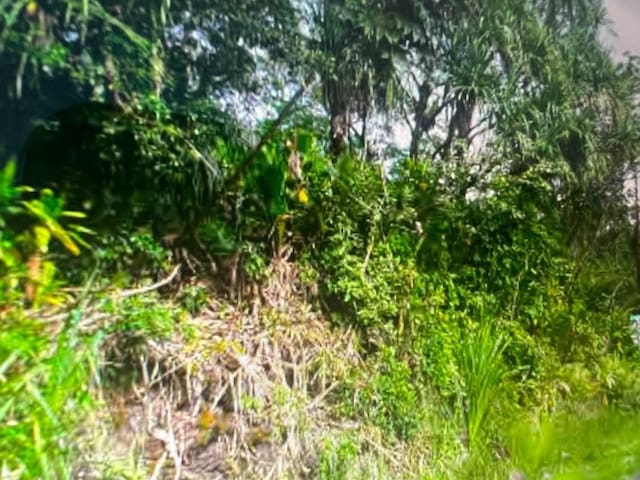 15-243 Puni Makai Loop, Pahoa, HI 96778
