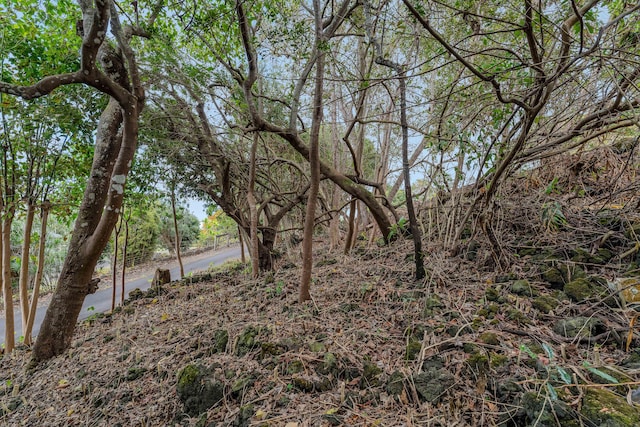 73-4597 Old Government Mauka Rd, Kailua-Kona, HI 96740