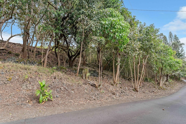 73-4597 Old Government Mauka Rd, Kailua-Kona, HI 96740