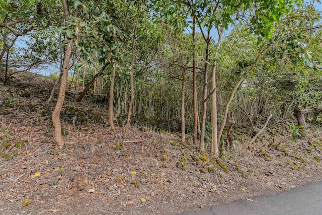 73-4597 Old Government Mauka Rd, Kailua-Kona, HI 96740