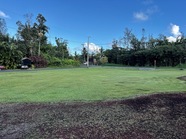 15-594 Puni Mauka Loop, Pahoa, HI 96778 - view of green lawn